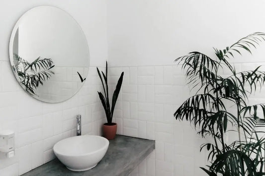 salle de bain zéro déchet vasque blanc plante miroir