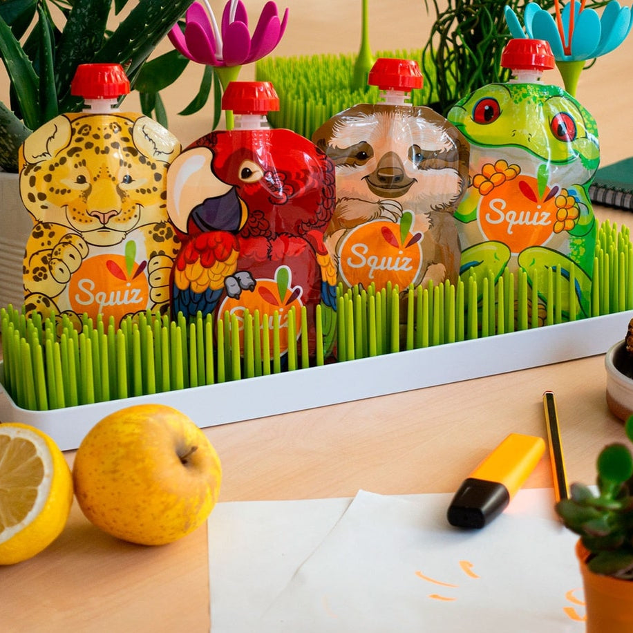 Gourdes compote réutilisables x4 - Amazonie