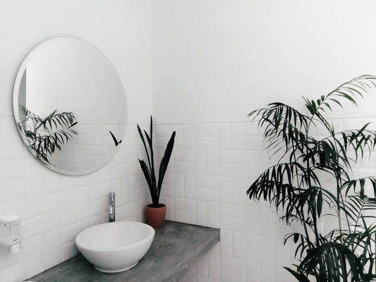 salle de bain réduire consommation eau plante