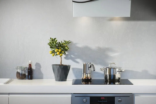 cuisine sans plastique zéro déchet plante épurée accessoires