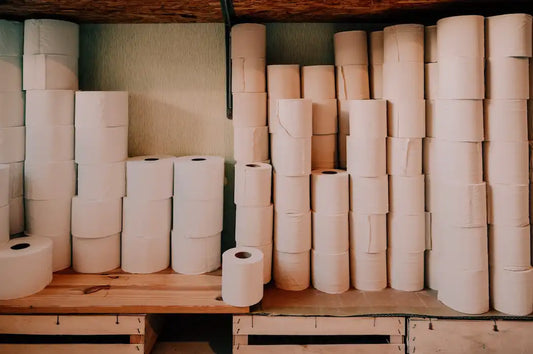 alternative papier toilette écologie zéro déchet