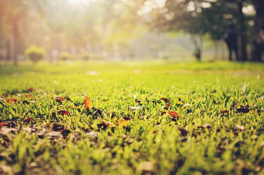 recyclable biodégradable compostable différence