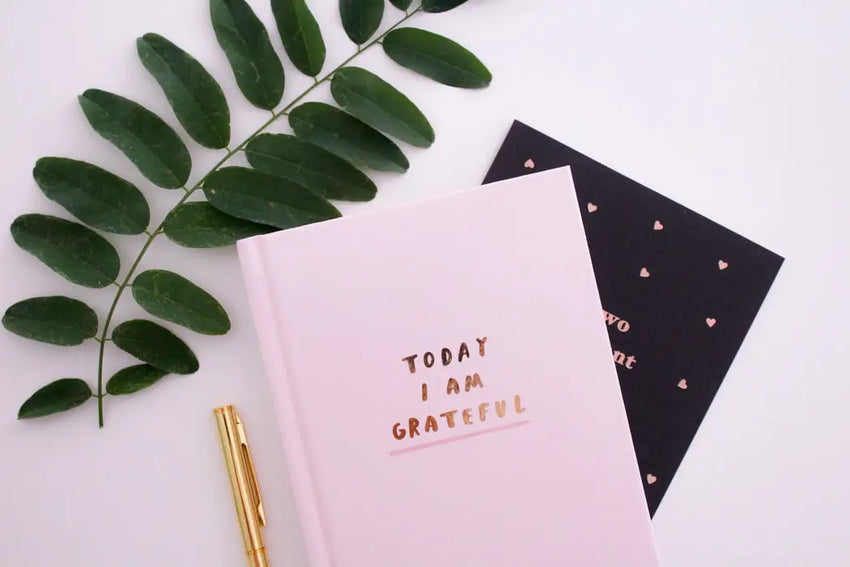 cahier rose stylo cadeau écologique 